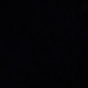 Meet your Posher, Audrey